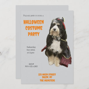 Bernedoodle Dog in Pirate Halloween Costume Party Invitation