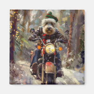 Bernedoodle Dog Riding Motorcycle Christmas  Magnet