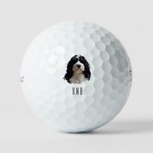 Bernedoodle Golf Balls