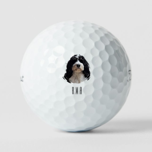 Bernedoodle Golf Balls (Front)