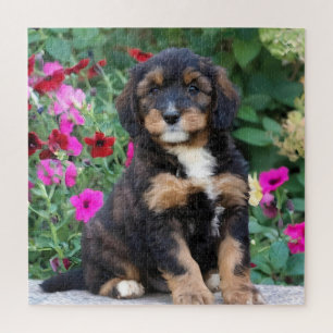 Bernedoodle puppy in petunias jigsaw puzzle