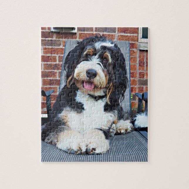 Bernedoodle puzzle (Vertical)