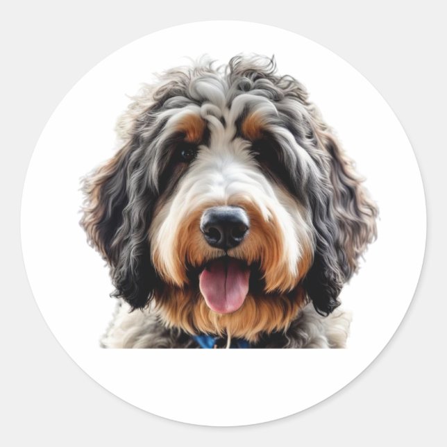 Bernedoodle Sticker (Front)