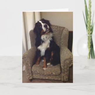 Berner Nation greeting card