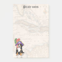 Berner Pirate