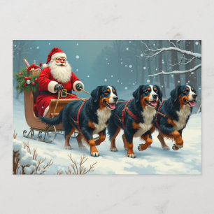 Berner Sennen Christmas Card
