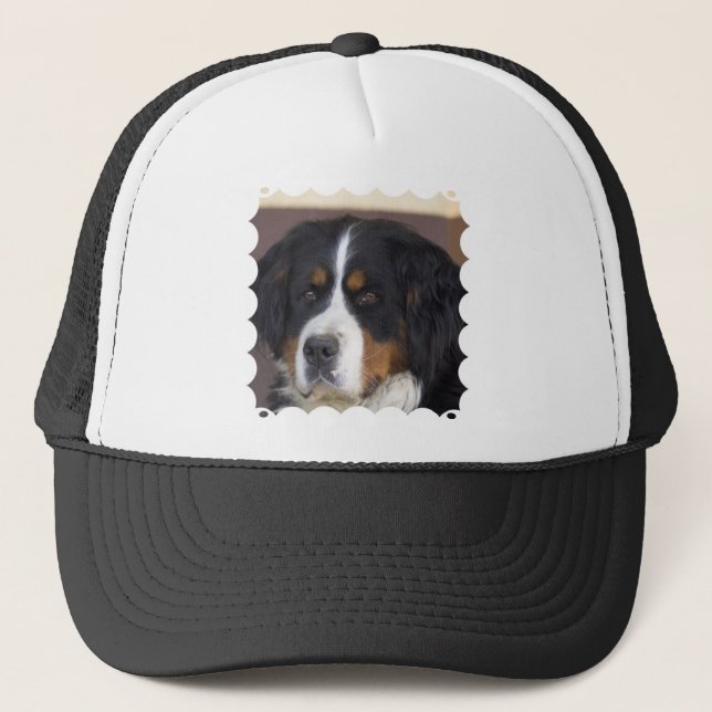 Berner Sennenhund Baseball Hat (Front)