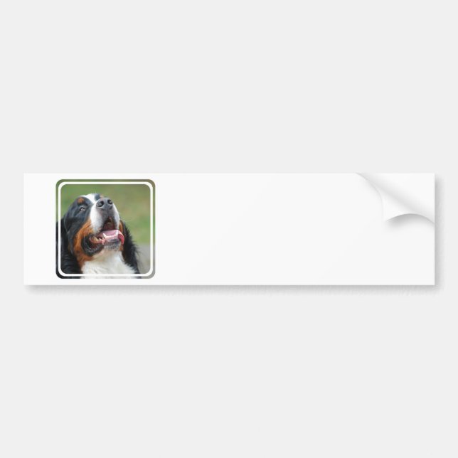 Berner Sennenhund Dog Bumper Sticker (Front)