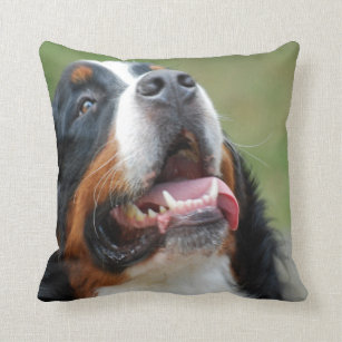 Berner Sennenhund Dog Pillow