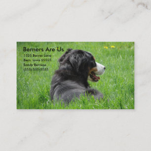 Berners Are Us Business Card