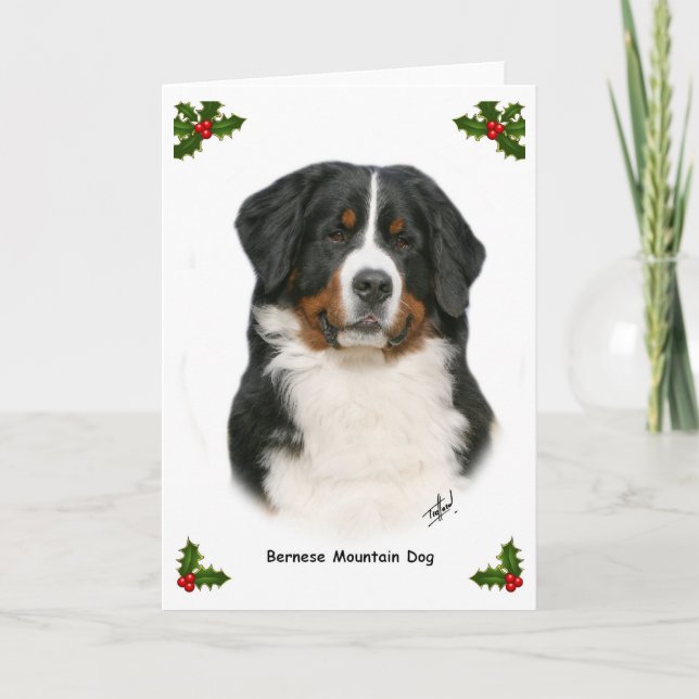 Bernese 9Y348D-094 Holiday Card (Front)