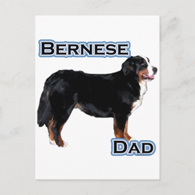 Bernese Dad 4 Postcard (Front)