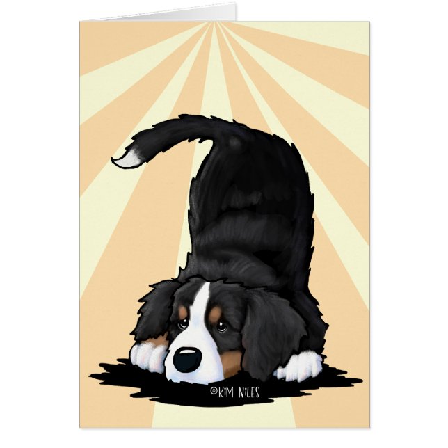 Bernese Mountain Dog (Front)