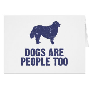 Bernese Mountain Dog