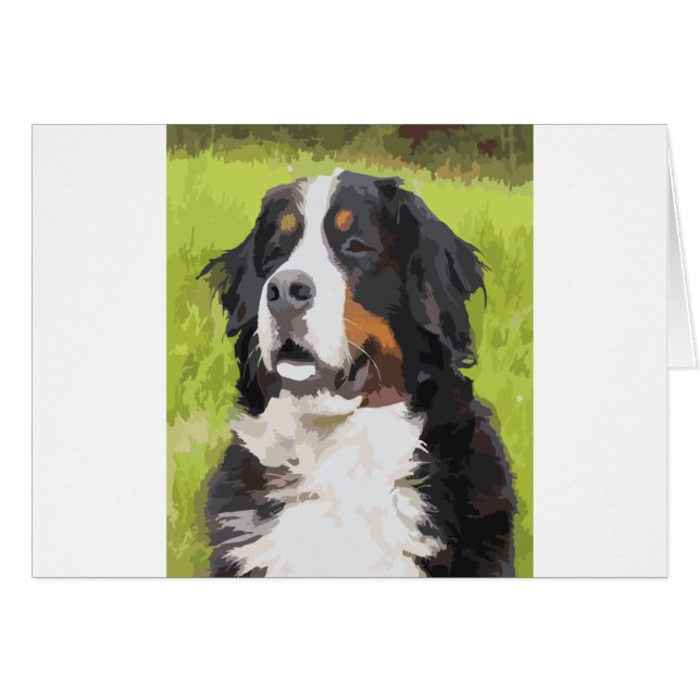 Bernese mountain dog (Front Horizontal)