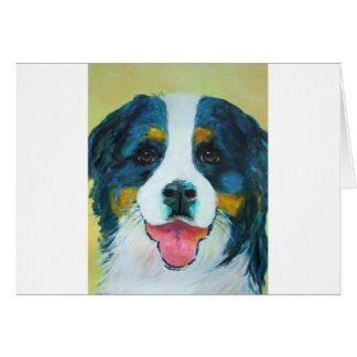 Bernese Mountain Dog