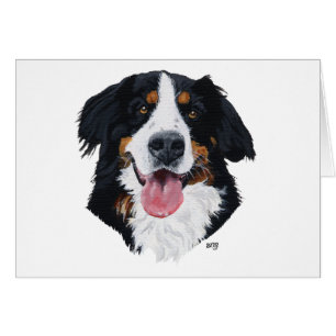 Bernese Mountain Dog