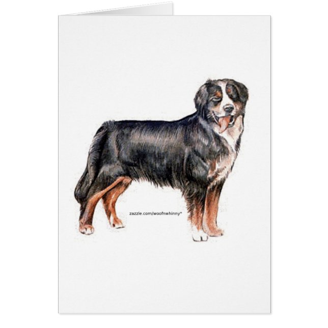 Bernese Mountain Dog (Front)