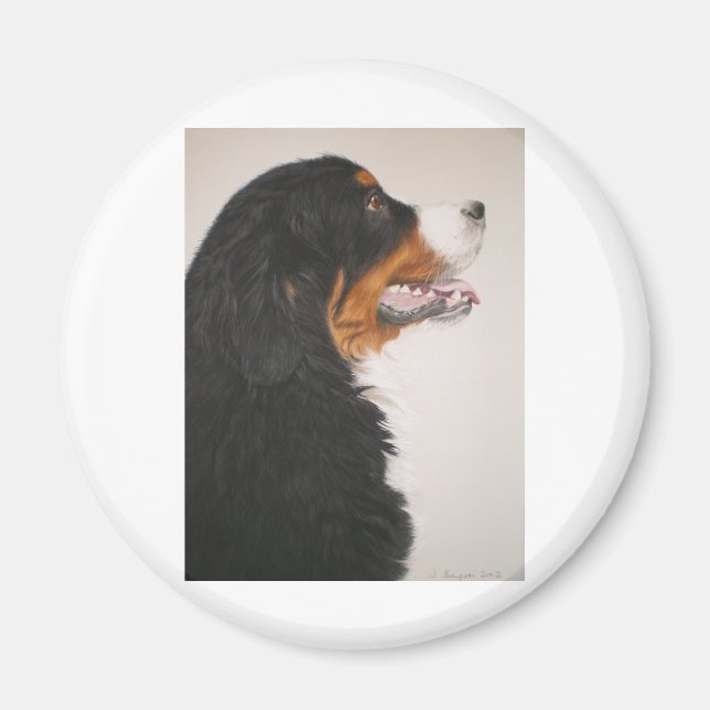Bernese Mountain Dog 2 Magnet (Front)