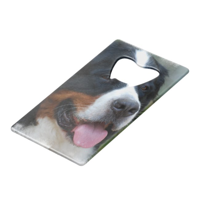 bernese-mountain-dog-7 (Front Angled)