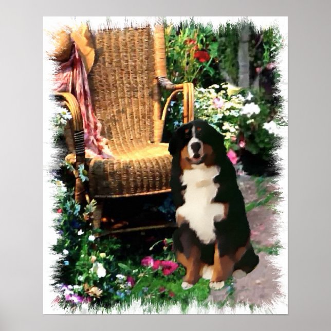 Bernese Mountain Dog Art Print (Front)