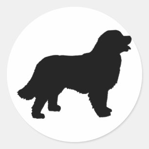 Bernese Mountain Dog (black silhouette) Classic Round Sticker