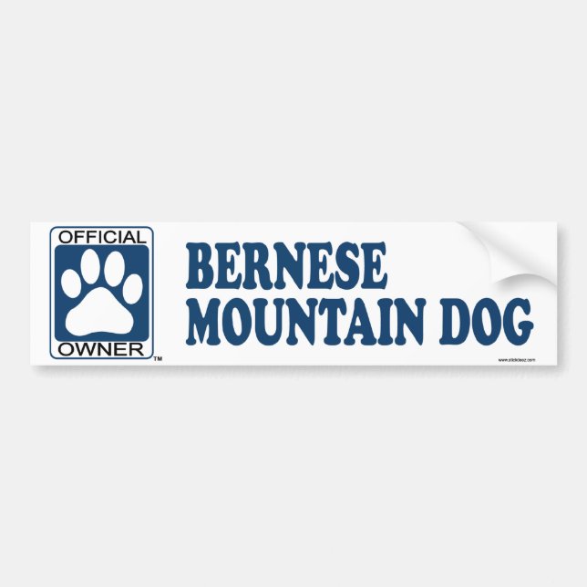Bernese Mountain Dog Blue Bumper Sticker (Front)