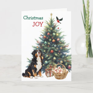 Bernese Mountain Dog , Bullfinch and Holiday Tree