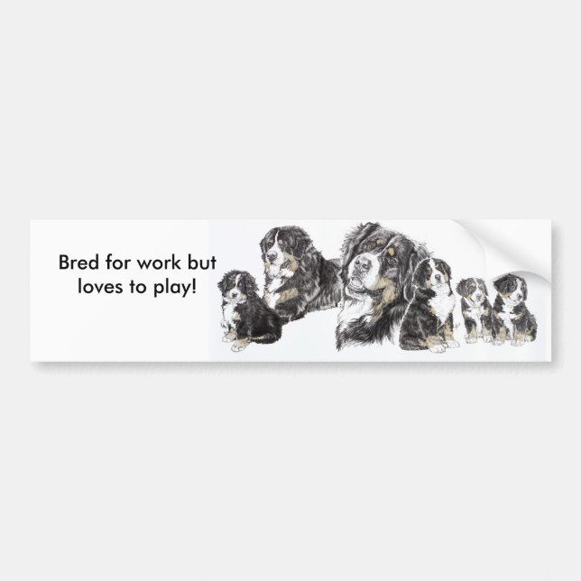 Bernese Mountain Dog Bumper Sticker (Front)