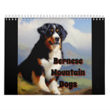 Bernese Mountain Dog 