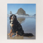 Bernese Mountain Dog Cannon Beach