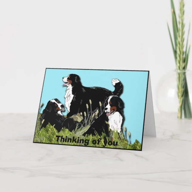 Bernese Mountain Dog Card (Front)