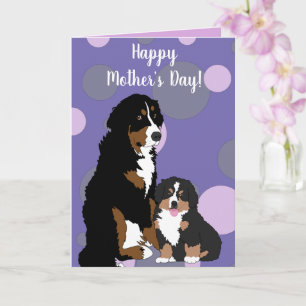 Bernese Mountain Dog Card