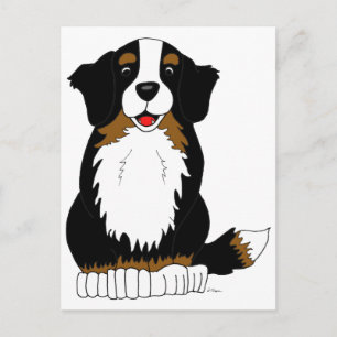 Bernese Mountain Dog Cartoon Postcard
