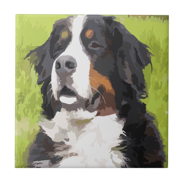 Bernese mountain dog ceramic tile (Front)