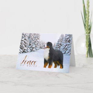 Bernese Mountain Dog Christmas Card