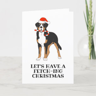 bernese mountain dog christmas cards
