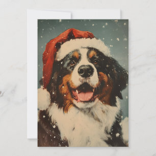 Bernese mountain dog christmas holiday card
