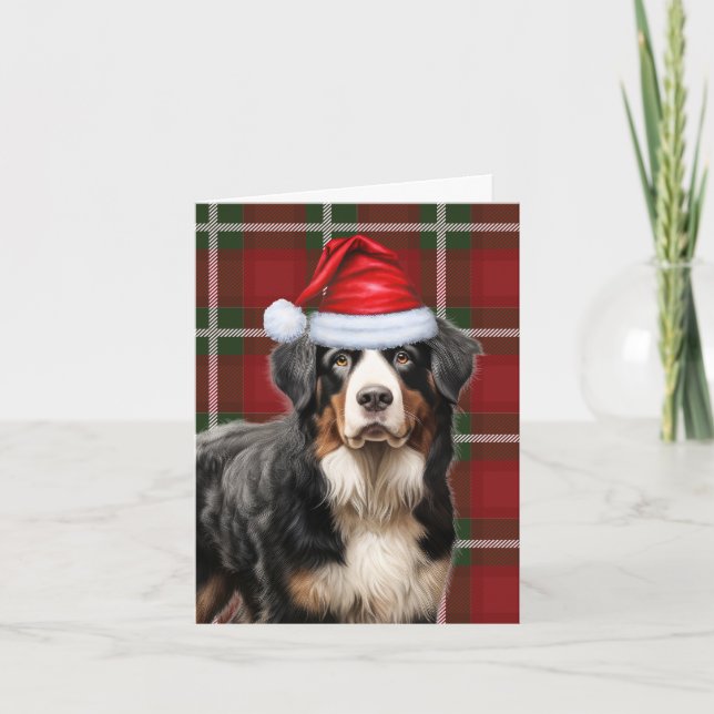 Bernese Mountain Dog Christmas Holiday Plaid Card (Front)