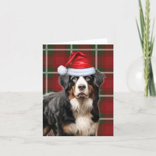 Bernese Mountain Dog Christmas Holiday Plaid Card