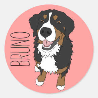 Bernese Mountain Dog  Classic Round Sticker
