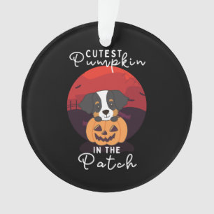Bernese Mountain Dog Cutest Pumpkin In The Patch Ornament