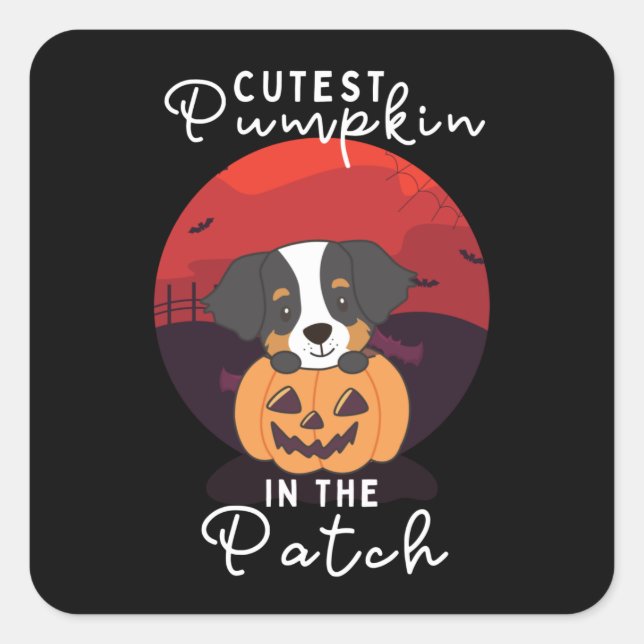 Bernese Mountain Dog Cutest Pumpkin In The Patch Square Sticker (Front)