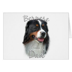 Bernese Mountain Dog Dad 2