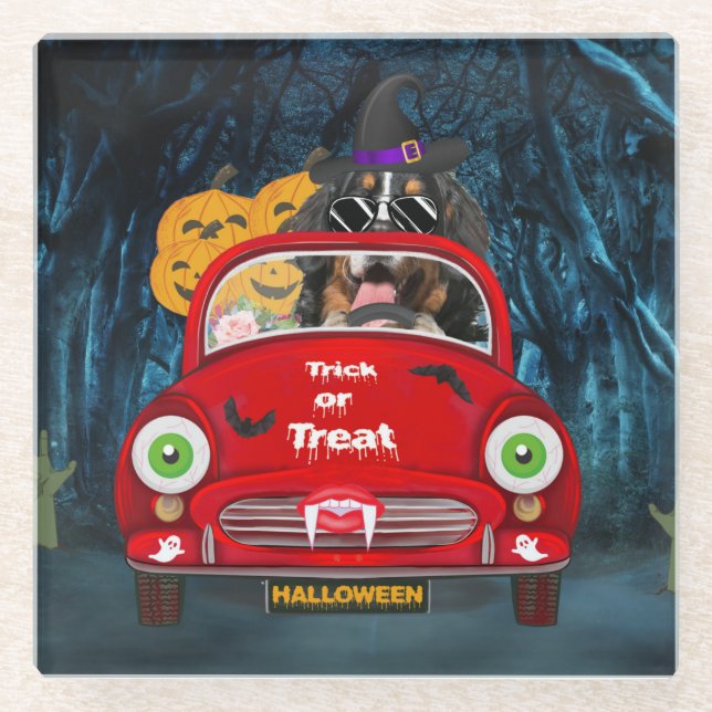 Bernese Mountain Dog Driving Car Scary Halloween  Glass Coaster (Front)