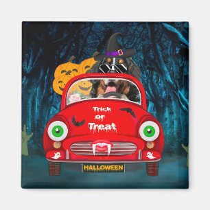 Bernese Mountain Dog Driving Car Scary Halloween  Magnet