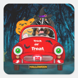 Bernese Mountain Dog Driving Car Scary Halloween  Square Sticker
