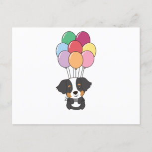 Bernese Mountain Dog Flies With Colourful Balloons Postcard