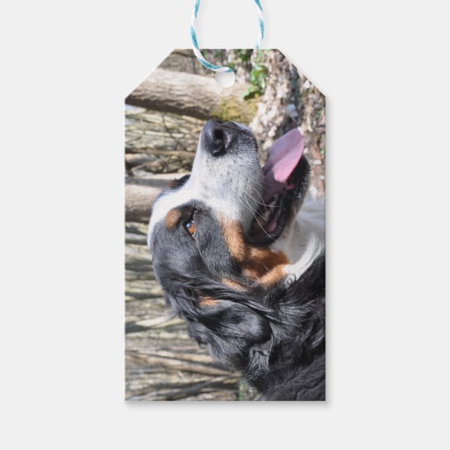 bernese mountain dog fourth gift tags (Front)
