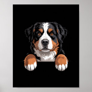 Bernese Mountain Dog Funny Peeking Cket Berner Pup Poster